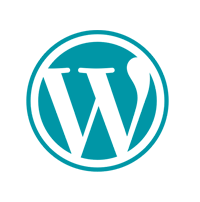 Bespoke WordPress Plugins